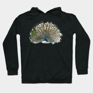 Peacock Digital Painting Hoodie